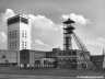 losengos1119_02