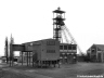 losengos1119_03