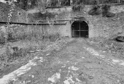 Rammelsberg_Bollrich008