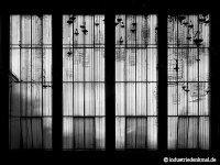 db_ew071