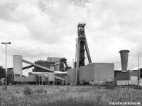 db_bw_leo_0041