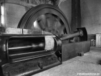 db_bw_leo_004a1