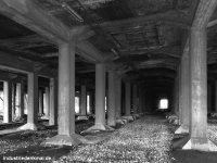 db_bw_leo_0061