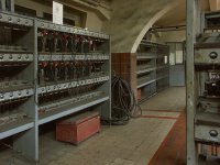 db_col_leo011a