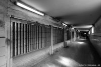 db_lohb00091