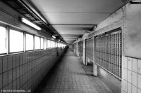 db_lohb00201