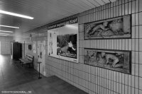 db_lohb00542