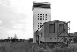 db_losengos1119_011