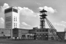 db_losengos1119_021