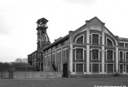 db_99bis031