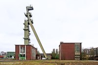 nberg012