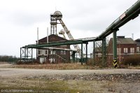 nberg023