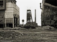 nberg024