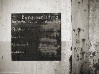 nberg029