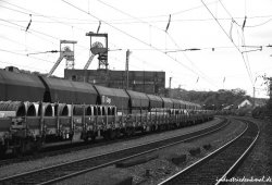 db_reden00011