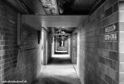 db_reden00221