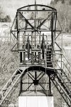 ebg021
