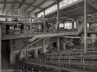 p5070201