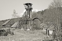 meding02_bearbeitet-1jpg