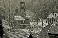 meding06_bearbeitet-1jpg