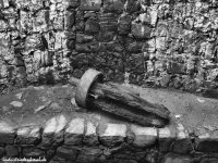 db_thurm_rosenhof0021