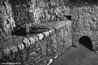 db_thurm_rosenhof002a1