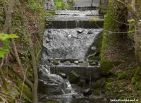 db_thurm_rosenhof005b1