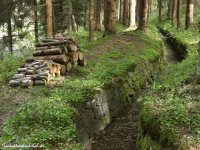 db_thurm_rosenhof005c1