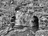 db_thurm_rosenhof005e1
