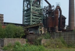 db_henhatt0021