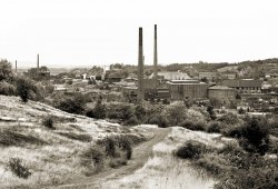 hmg08_2