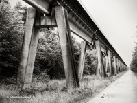 Die aufgeständerte Fahrweg-Variante gab es in Beton- und Stahlausführung