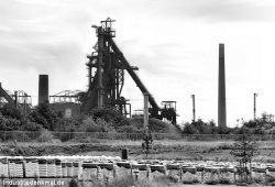 db_westf0083